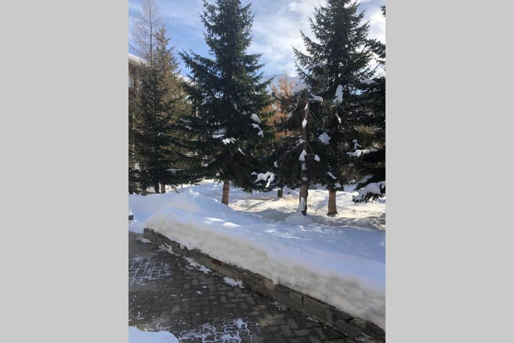 Piccolo Paradiso In Centro Cervinia 布勒伊-切尔维尼亚 外观 照片